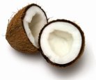 Coconut